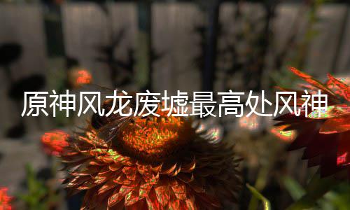 原神攻略神瞳收集最高处风风龙废墟